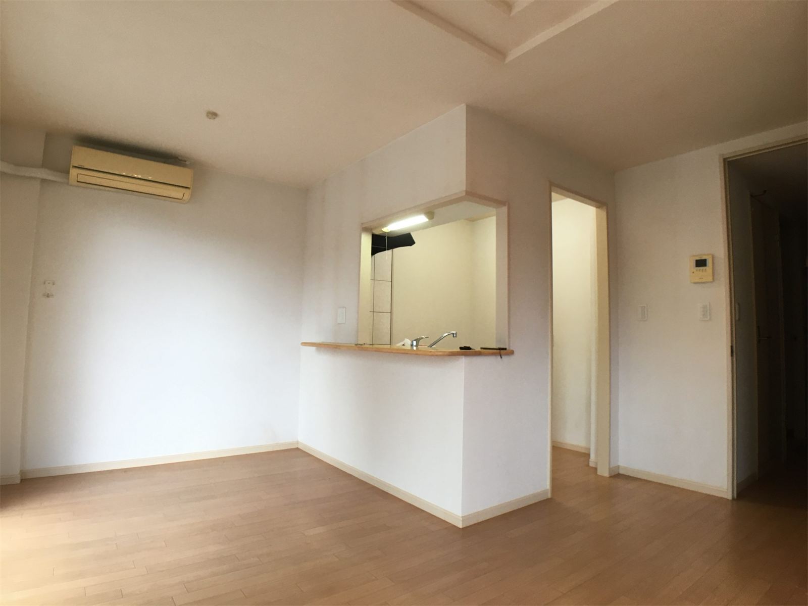 鹿屋市 新生町の賃貸(1LDK) 施工前:リビング