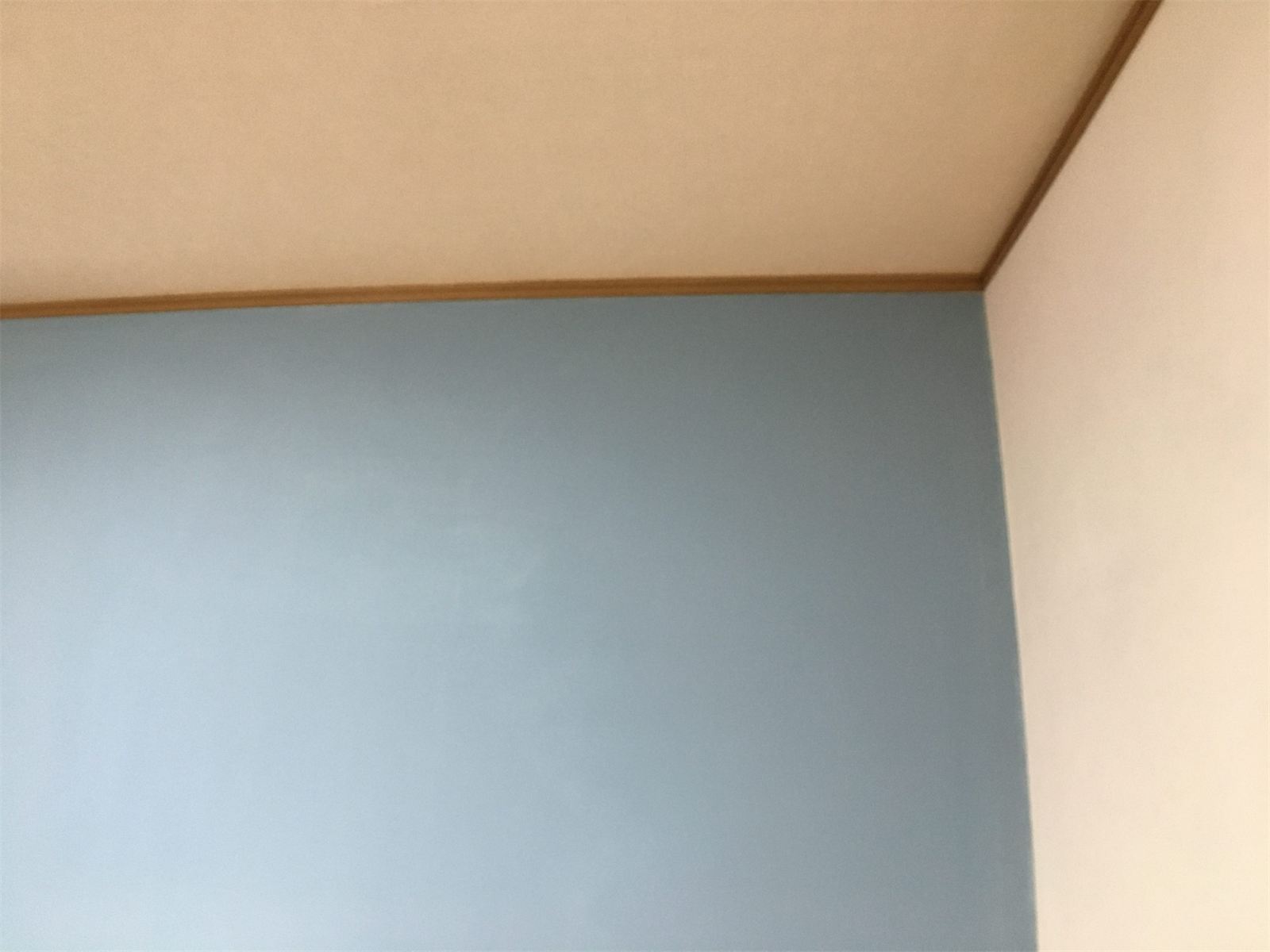 霧島市 国分野口西の賃貸アパート 施工後：デザイン